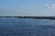 DSC01239