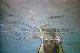 CIMG1794-01