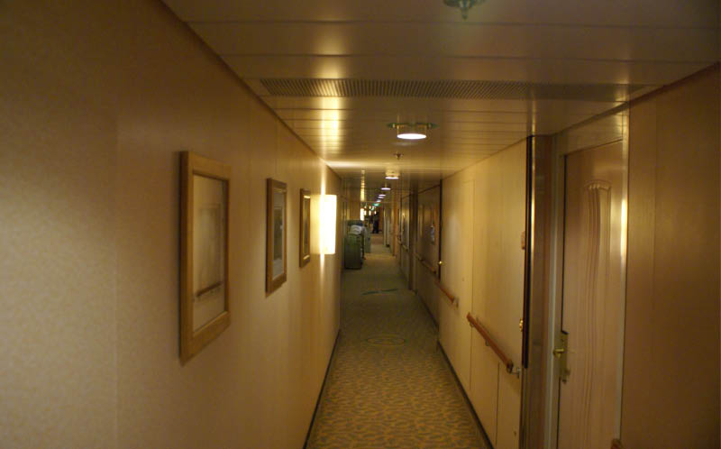 DSC01100