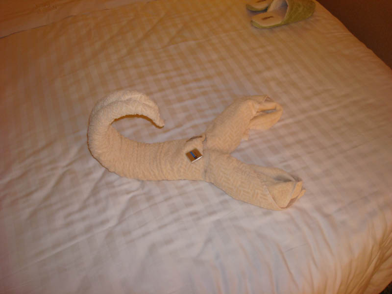 DSC00098