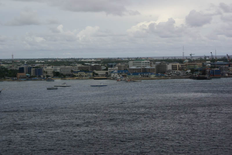 DSC01212
