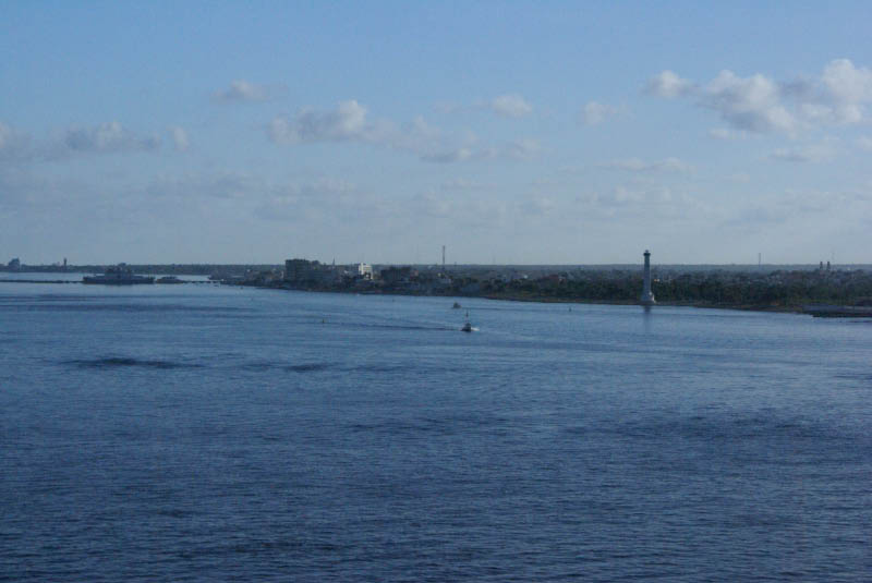 DSC01239